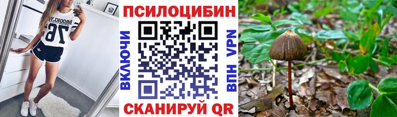 маркетплейс наркотические препараты  Рославль  Галлюциногенные грибы Psilocybe 